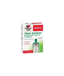 AKTIV VITAL ARTERES, 90 Gélules